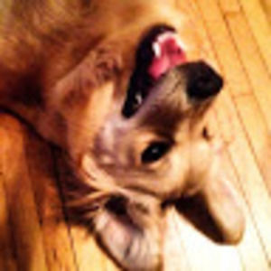 Meet your Posher, Kelsey